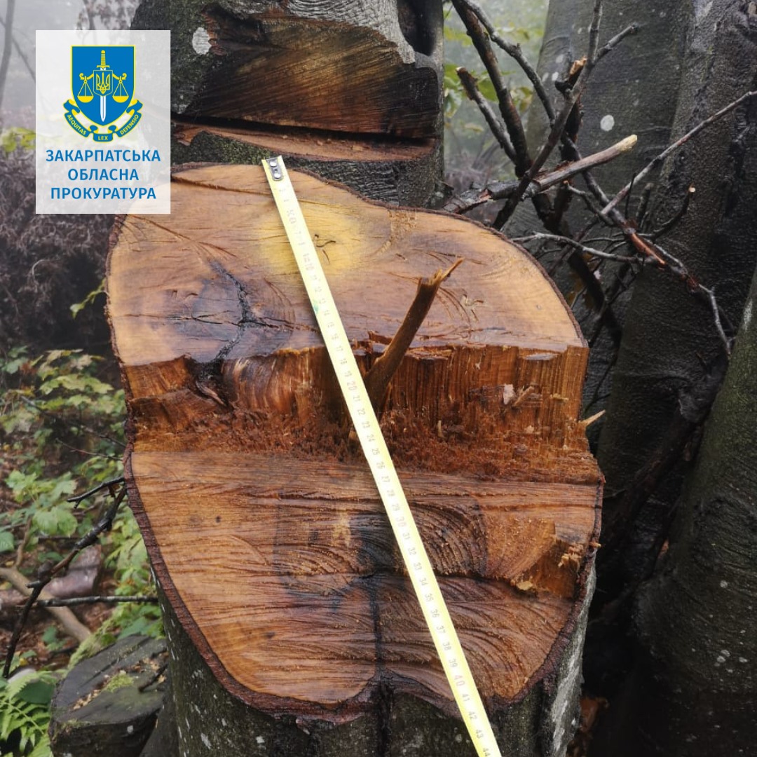 331484464_2521873987964662_8209809585654040770_n