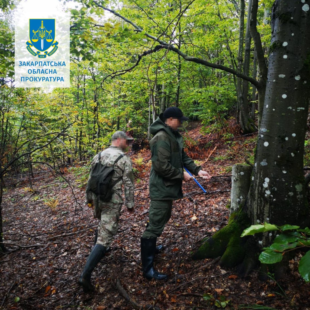 331540679_535267978594360_572506385610216002_n