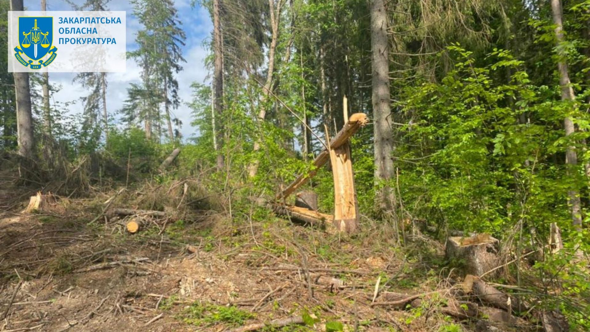 331549013_519569810281083_8400849177147566072_n