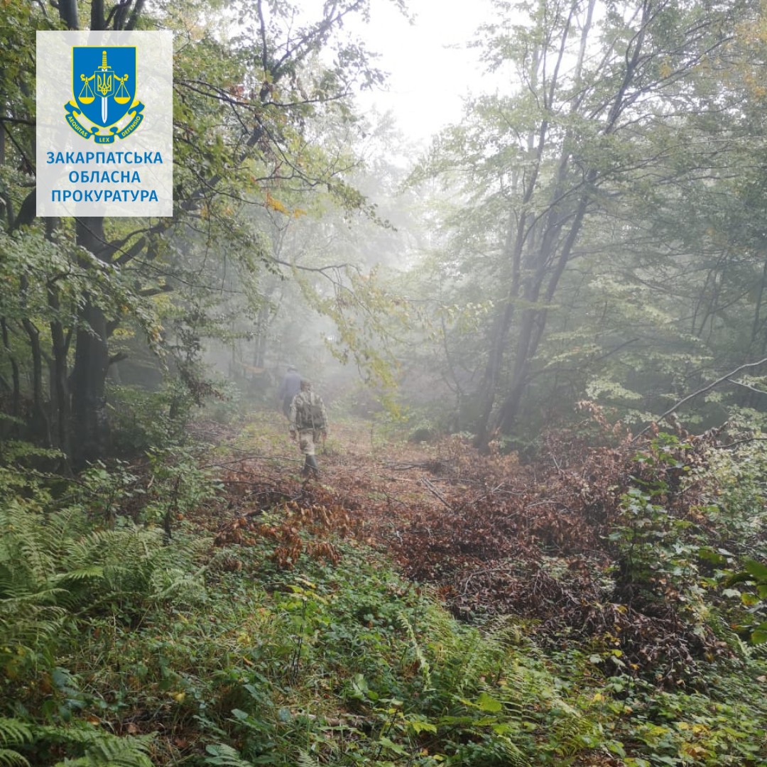 331769022_6046713645390623_7488990161217550872_n