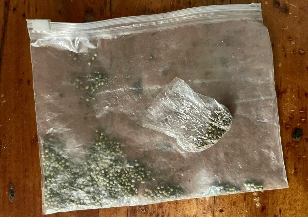 наркотики зброя Берегівщина