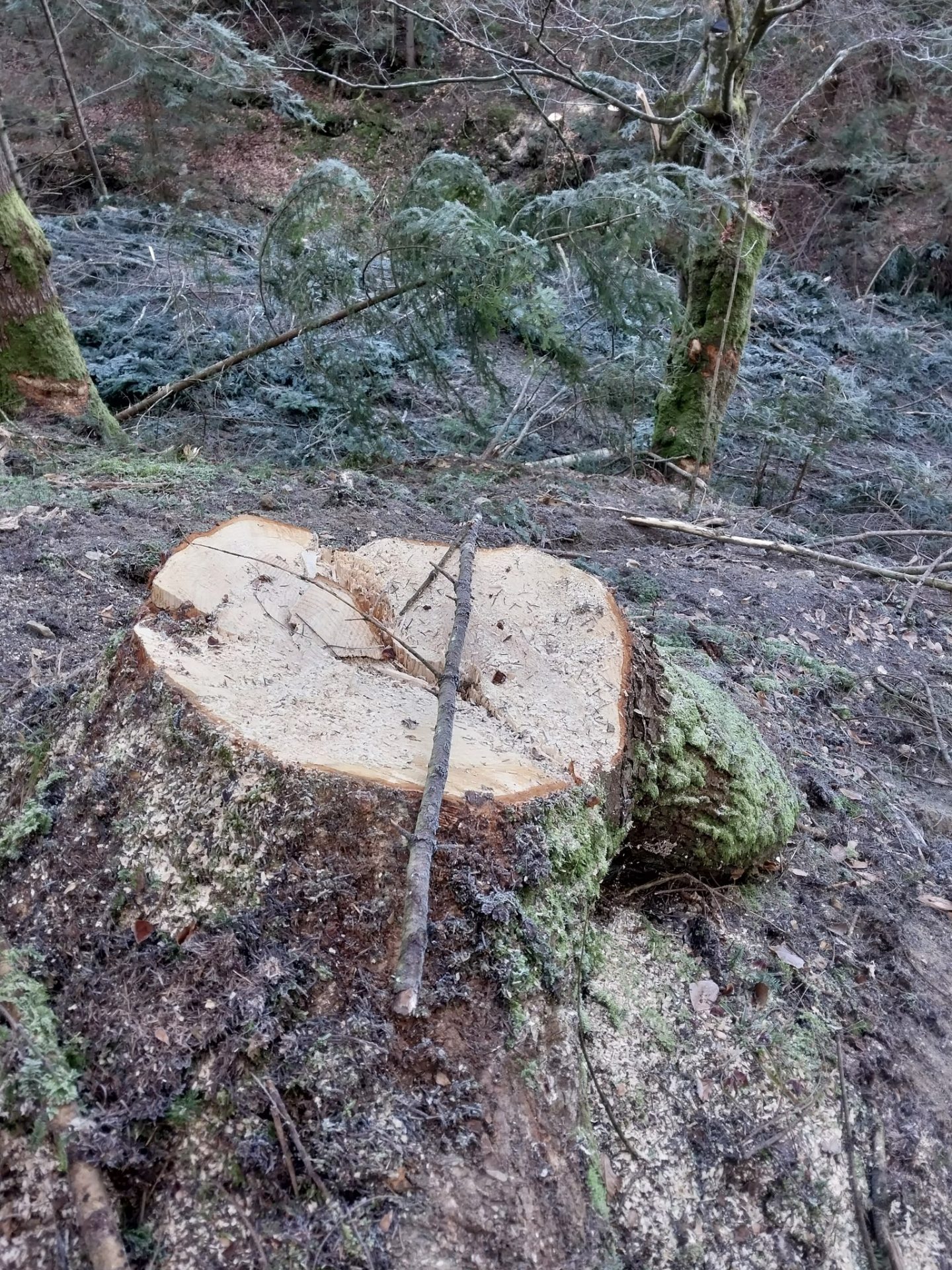 330801396_510056461255865_656170486730509630_n