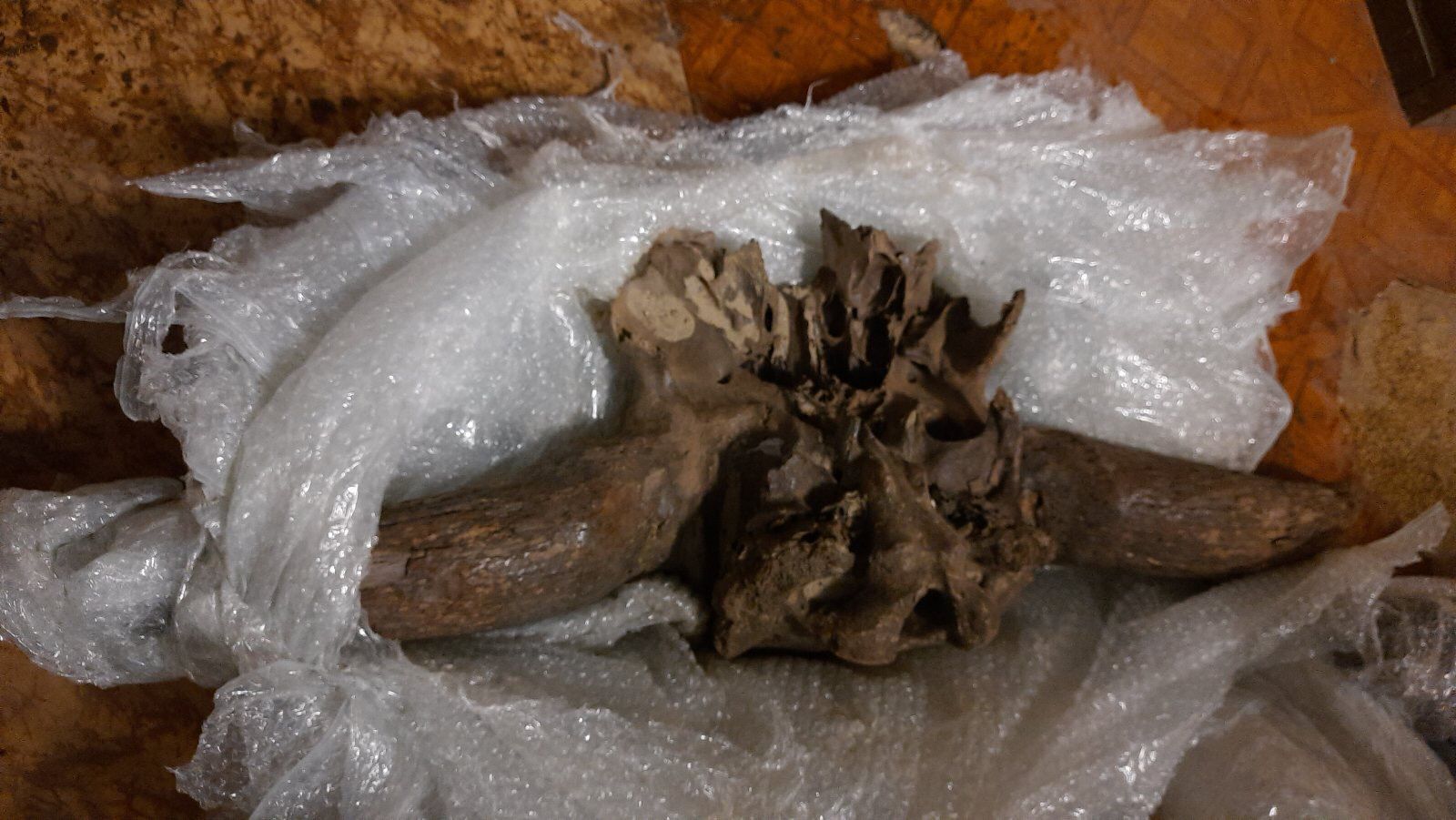 330826107_867727554487350_6443102081261219900_n