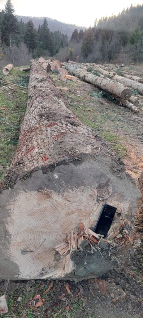 330840096_875742250197896_700904617039549892_n