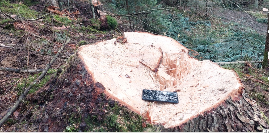 330919645_5691324057632936_4993478105726801282_n