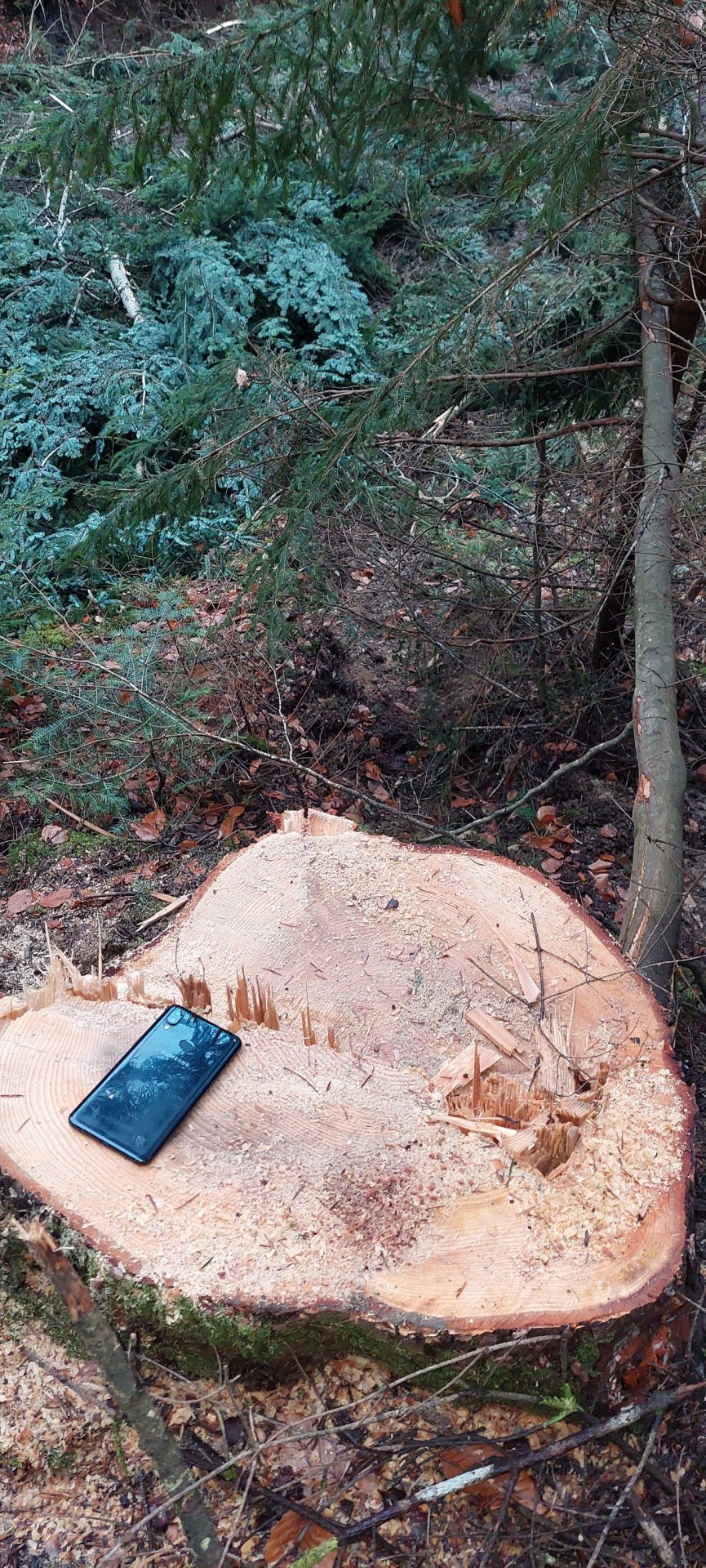 330942550_3558669004356624_1049854965886012842_n