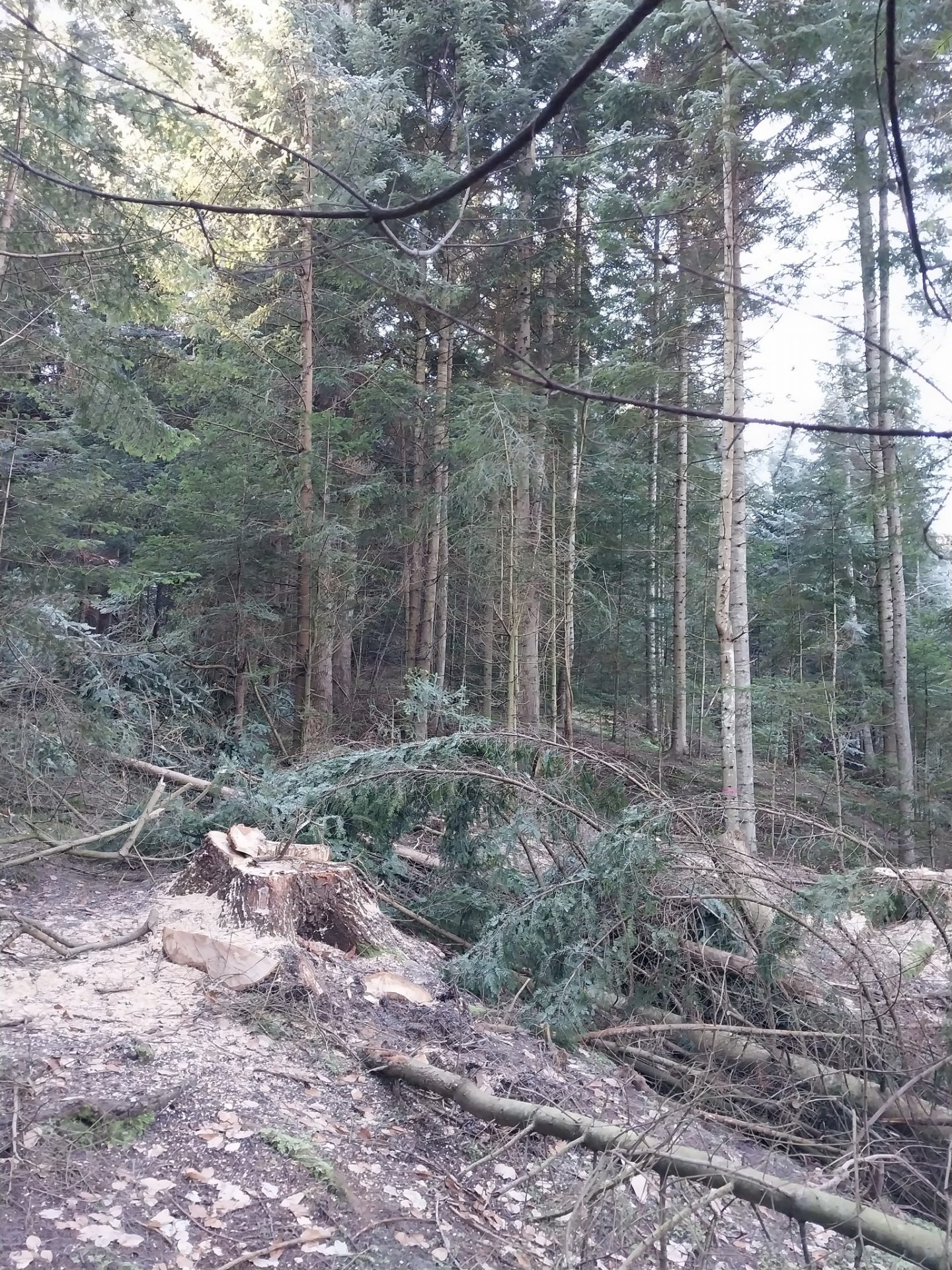 330983608_941865350149069_1482721436366721083_n