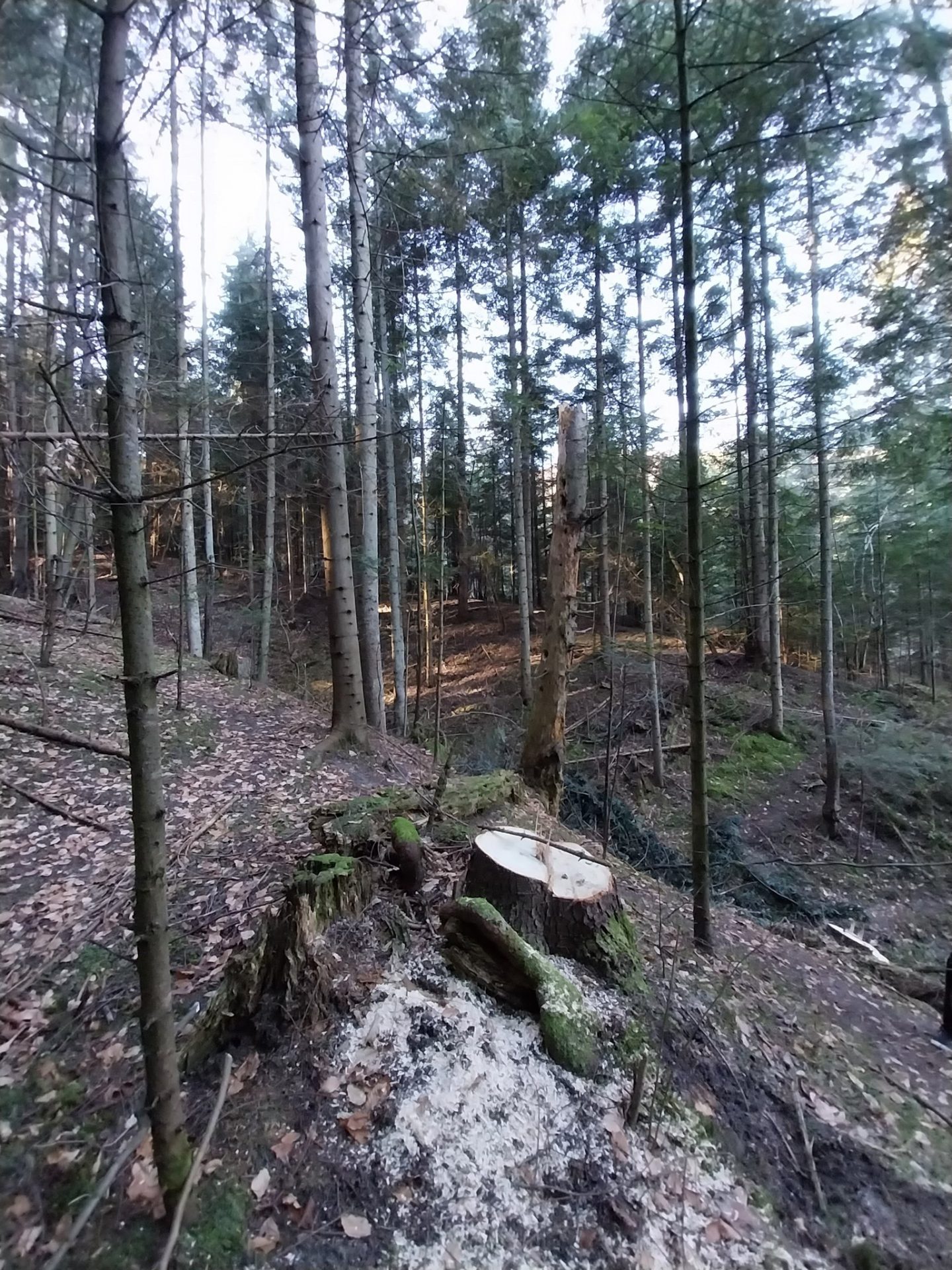 330986907_863276864972069_4398861421930172337_n