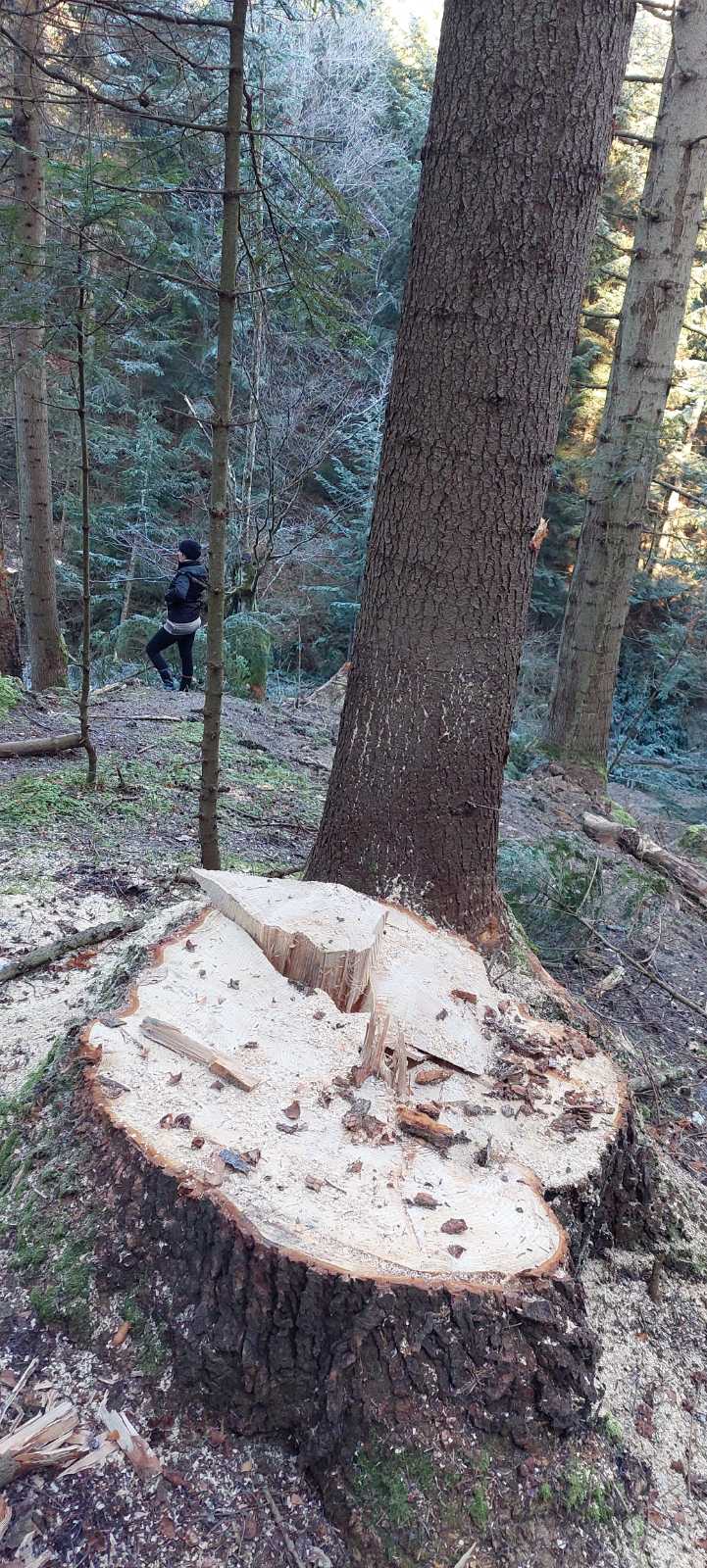 330987179_847773399618426_8626243689392730862_n