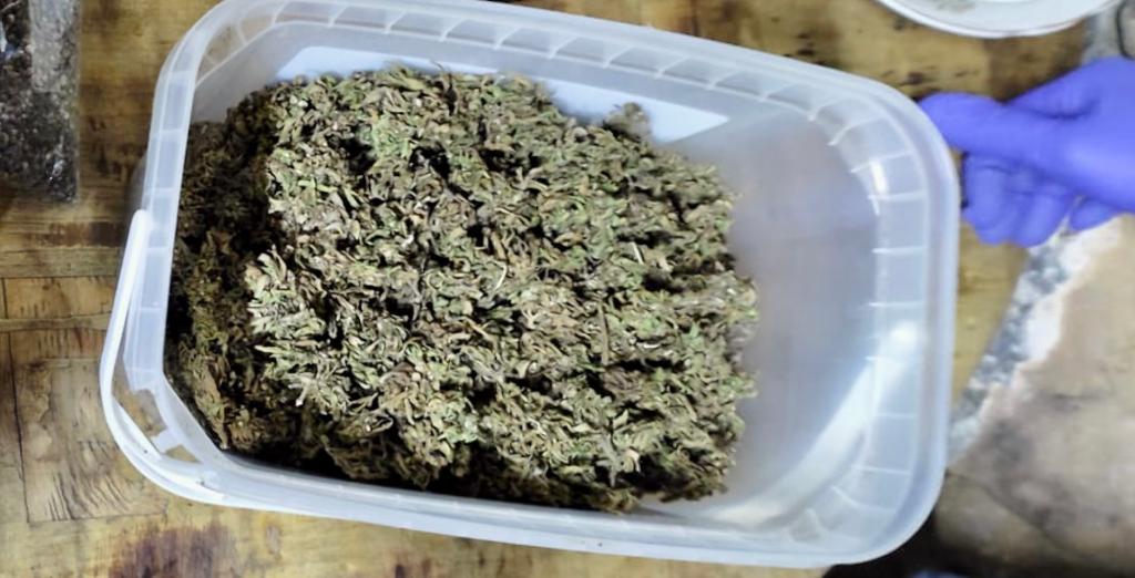 331260663_2140714166138230_9021047428019318525_n