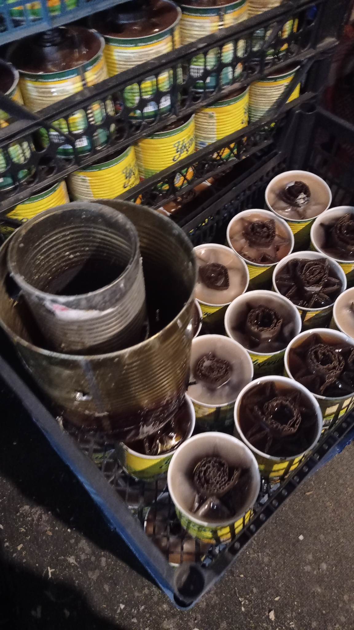 332625107_229114832897763_5161842341639174428_n