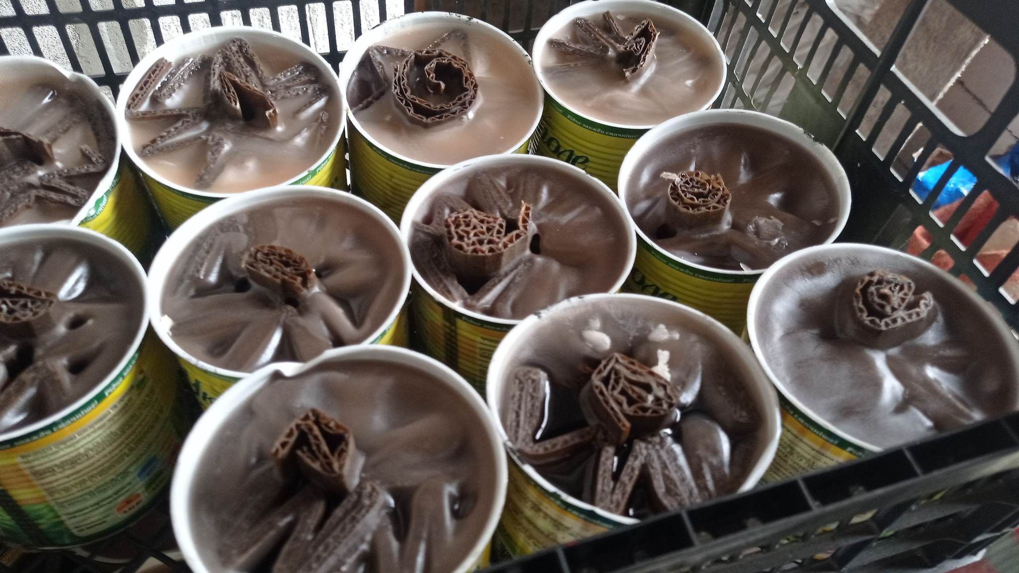 332691611_118852297703207_8702142836733442831_n