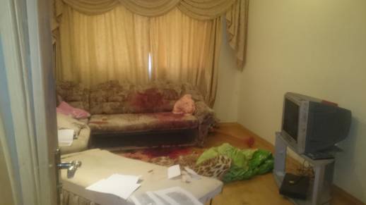 17df586d8b471ba4ed2173c9ae67f361