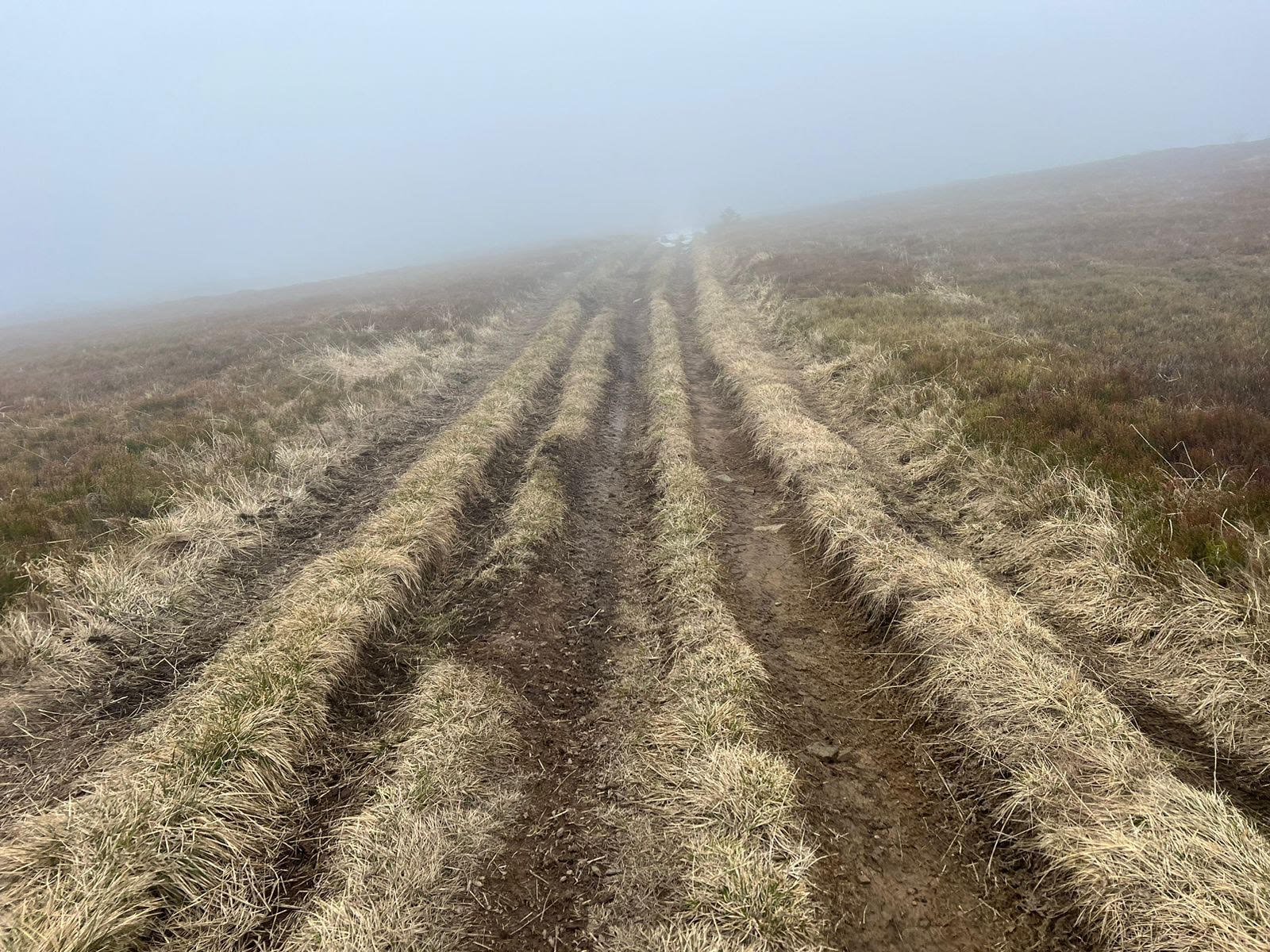 347406177_784079399753464_2022514006600021165_n